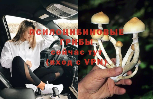 экстази Алексин