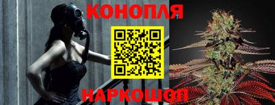 PSILOCYBIN Севастополь