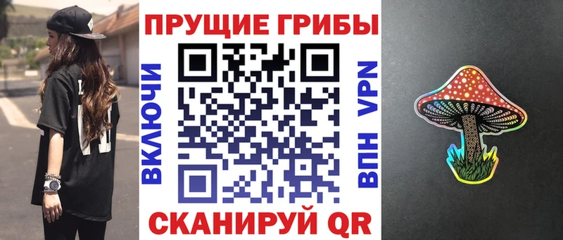 Галлюциногенные грибы Psilocybe Пушкино