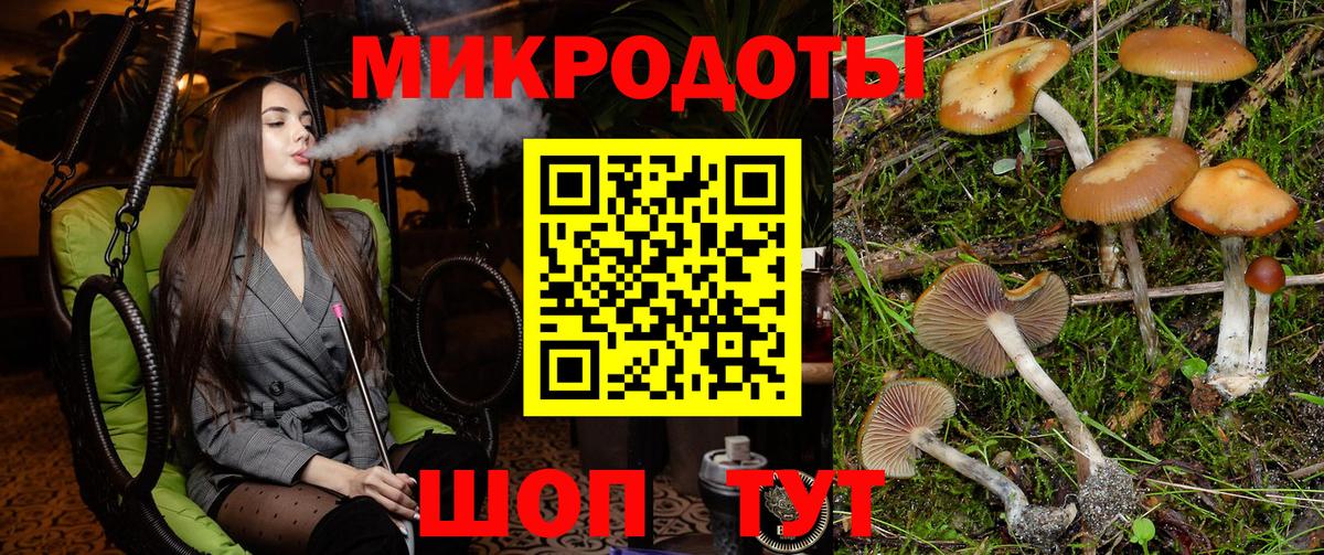 Галлюциногенные грибы Psilocybe  Вход с VPN  Галлюциногенные грибы Psilocybine cubensis  Пушкино 